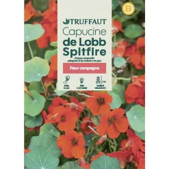 Truffaut - Capucine grimpante hybride De Lobb Spitfire : en sachet New