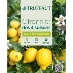 Truffaut - Citronnier, 1/4 Tige - Pot 4/5L Outlet