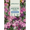 Truffaut Graines De Fleurs | - Coquelourde Rose du ciel : en sachet
