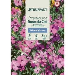 Truffaut Graines De Fleurs | - Coquelourde Rose du ciel : en sachet