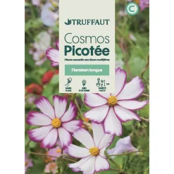 Truffaut Graines De Fleurs | - Cosmos picotée : En Sachet
