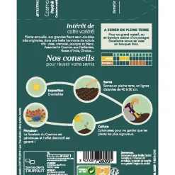 Truffaut Graines De Fleurs | - Cosmos Psyché couleur variée : en sachet