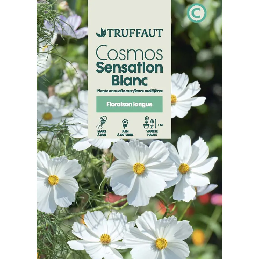 Truffaut - Cosmos sensation Blanc : En sachet Clearance