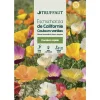 Truffaut Graines De Fleurs | - Eschscholtzia de Californie varié à fleur simple : en sachet