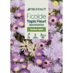 Truffaut - Ficoide tapis Fleuri : En Sachet Sale