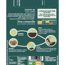 Truffaut - Ficoide tapis Fleuri : En Sachet Sale