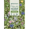 Truffaut Graines De Fleurs | - Fleurs en mélange pour gazon Japonais : en grand sachet
