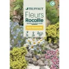 Truffaut Graines De Fleurs | - Fleurs vivaces en mélange massifs et rocailles : grand sachet