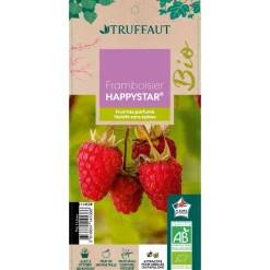 Truffaut Petits Fruits | - Framboisier 'Happystar®' AB : pot 3L