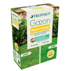 Truffaut - Gazon regarnissage 3 kg New