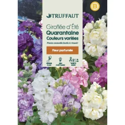 Truffaut Graines De Fleurs | - Giroflee d'été Quarantaine à grande fleur : sachet