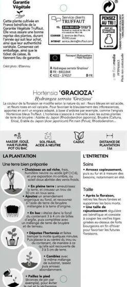 Truffaut Plantes De Terre De Bruyère | - Hydrangea 'Gracioza', ctr 3 L