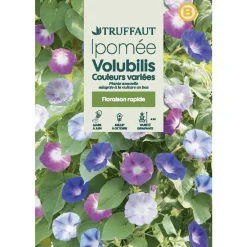 Truffaut - Ipomée volubilis Couleur Variée : en Sachet Hot