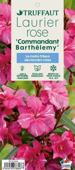 Truffaut Plantes Méditerranéennes | - Nerium Oleander Commandant Barthelemy pot 5L