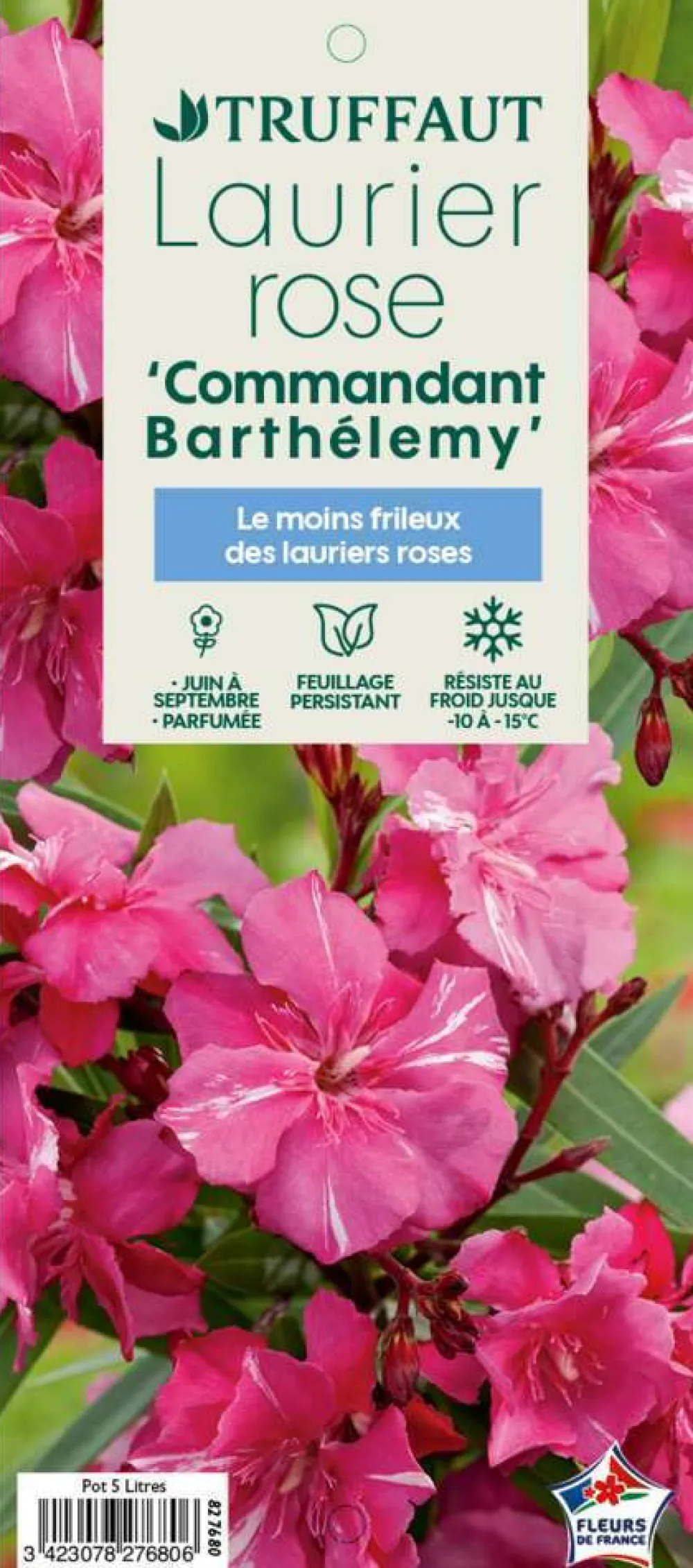 Truffaut Plantes Méditerranéennes | - Nerium Oleander Commandant Barthelemy pot 5L