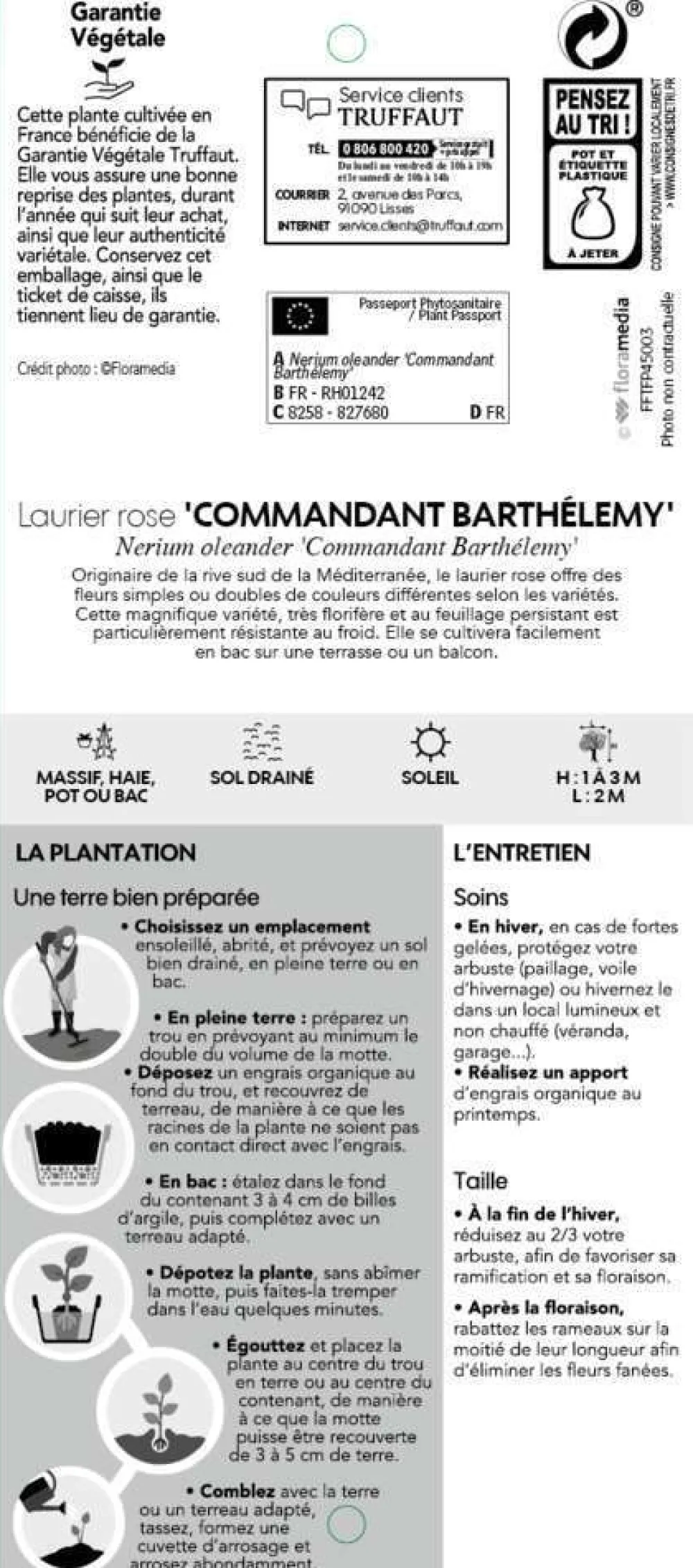 Truffaut Plantes Méditerranéennes | - Nerium Oleander Commandant Barthelemy pot 5L