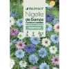 Truffaut - Nigelle de Damas couleur variée : en sachet New