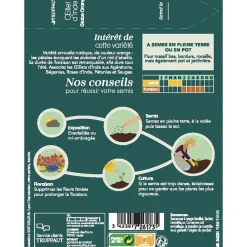 Truffaut - Oeillet d'inde globe orange 1 g Discount