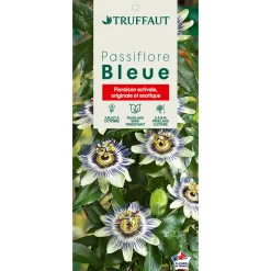 Truffaut - Passiflora caerulea : C6L Discount