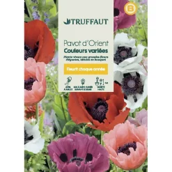 Truffaut - Pavot d’Orient couleur variée : en sachet New
