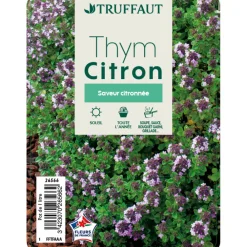 Truffaut Plants De Légumes Et Aromatiques | - Plant de thym citron : pot de 1 litre