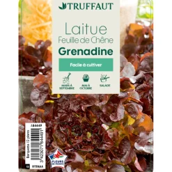 Truffaut Plants De Légumes Et Aromatiques | - Plants de laitues feuille de chêne 'Grenadine' : barquette 12 plants