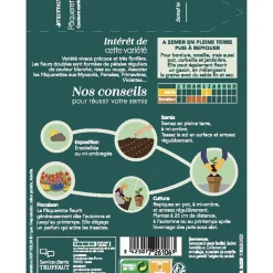 Truffaut Graines De Fleurs | - Pâquerette des prés Tapis couleurs Variées