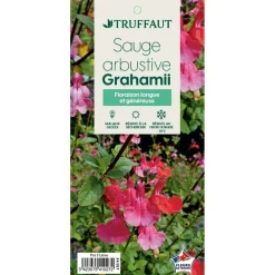 Truffaut Arbres Et Arbustes|Plantes De Haies | - Salvia Grahamii : C3L Marque