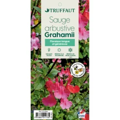 Truffaut - Salvia Grahamii : Pot 7,5L Outlet