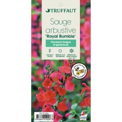 Truffaut - Salvia 'Royal bumble' : Pot 7,5L Outlet