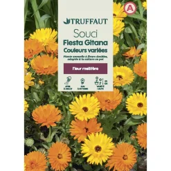 Truffaut - Souci double varié Best