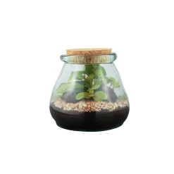 Truffaut - Terrarium 'Bila Uso' S : D.12cm - H.12cm