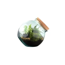 Truffaut - Terrarium 'Kuego' M : D.19cm - H.19cm Sale