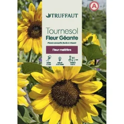 Truffaut Graines De Fleurs | - Tournesol géant