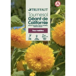 Truffaut Graines De Fleurs | - Tournesol géant de californie 4 g