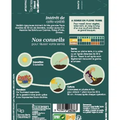 Truffaut Graines De Fleurs | - Tournesol géant de californie 4 g