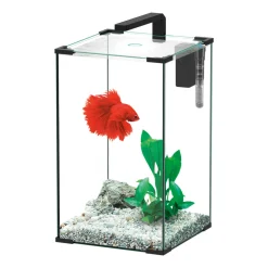 Truffy Aquariums Et Meubles | - Aquarium ALYA LED équipé noir 45 litres - L.30,5xP.30,5xH.50.4cm