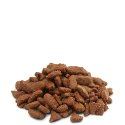 Versele-Laga Alimentation | - Aliment en granulés, riches en protéines animales, 700g pour furets
