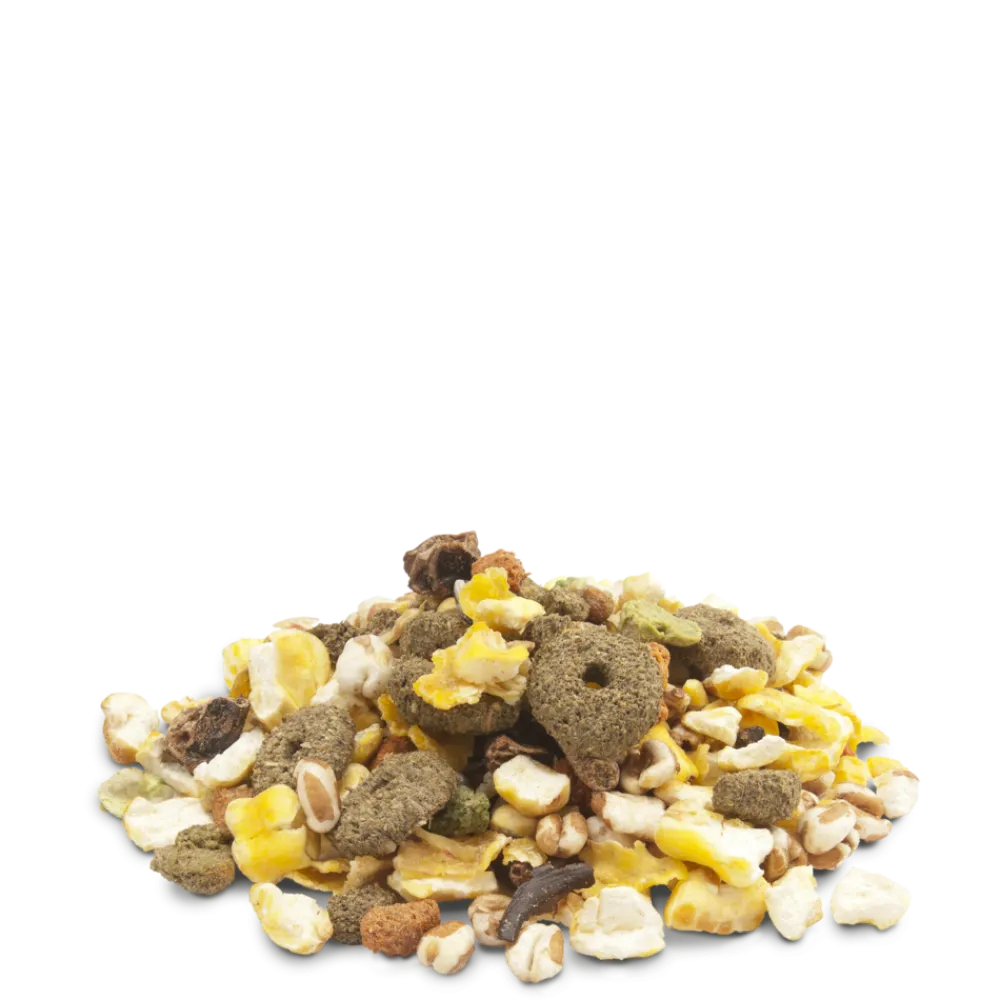 Versele-Laga Alimentation | - Friandise snack très léger 650g pour lapins, cochon d'inde, rat, souris