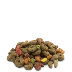 Versele-Laga - Snack riche en fibres 1.75kg pour lapins, cobayes, chinchillas & octodons Discount