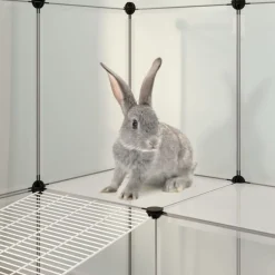 VidaXL - Cage pour petits animaux transparent 142x74x93 cm pp et acier New