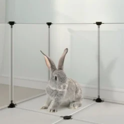 Vidaxl Cages Et Accessoires | - Cage pour petits animaux transparent 144x74x46,5 cm pp et acier