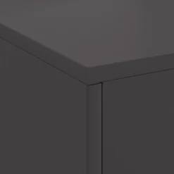 Vidaxl - Foyer avec cheminée noir 80x50x96 cm acier Clearance