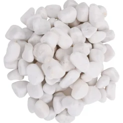VidaXL - Galets polis 10 kg blanc 2-5 cm New