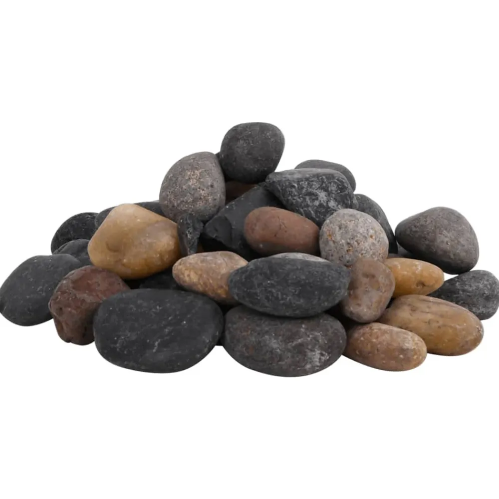 VidaXL - Galets polis 25 kg multicolores 5-8 cm New