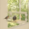 Vidaxl Oiseaux Du Jardin | - Mangeoires à oiseaux de fenêtre 2 pcs acrylique 30x12x15 cm