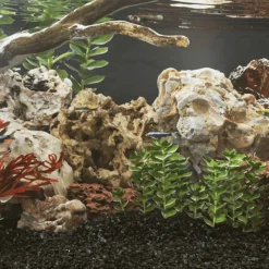 VidaXL Plantes Et Décoration | - Pierres du dragon 10 kg mélange de couleurs 10-30 cm