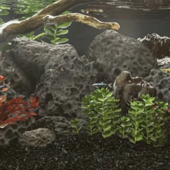 VidaXL Plantes Et Décoration | - Roches volcaniques 10 kg noir 10-30 cm