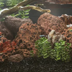 VidaXL Plantes Et Décoration | - Roches volcaniques 25 kg rouge 10-30 cm