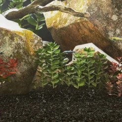 VidaXL Plantes Et Décoration | - Sable pour aquarium 10 kg noir 0,2-2 mm